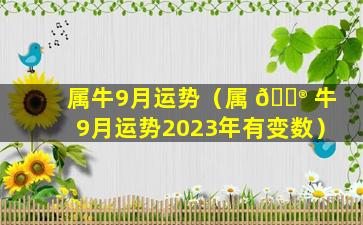 属牛9月运势（属 💮 牛9月运势2023年有变数）